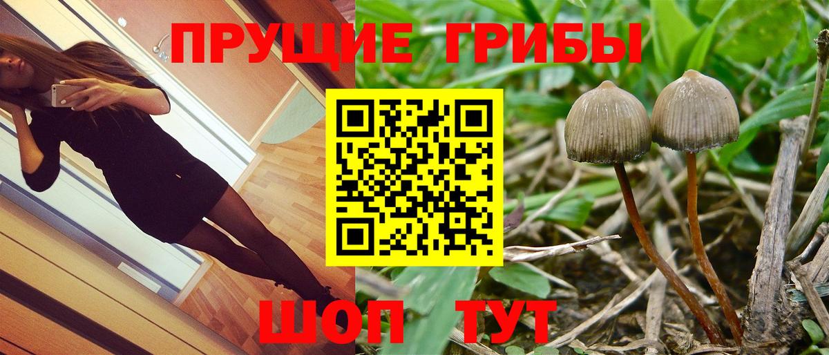 Галлюциногенные грибы ЛСД Протвино