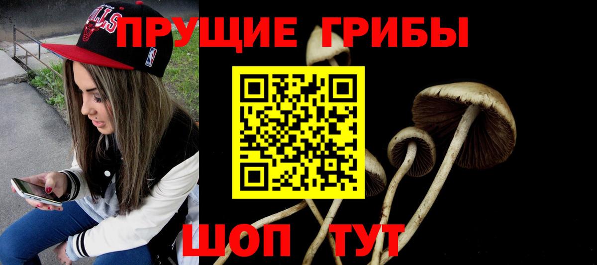 Протвино  Псилоцибиновые грибы Psilocybine cubensis  Вход с VPN 